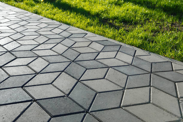 Best Driveway Paving Contractor  in La Vista, NE